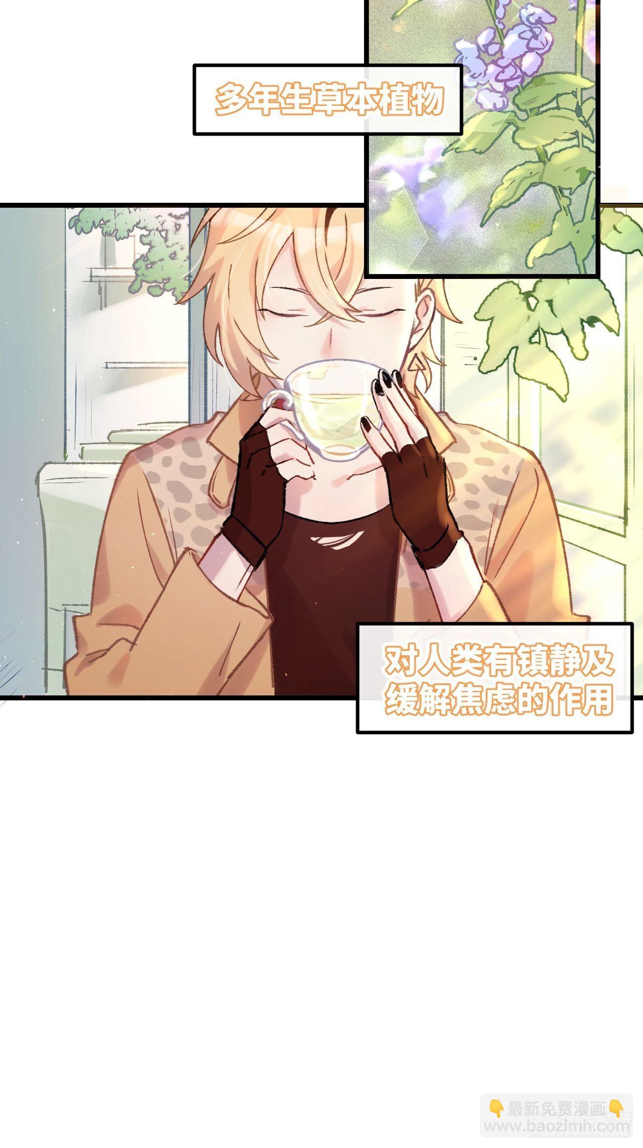 ★预告★-第1话