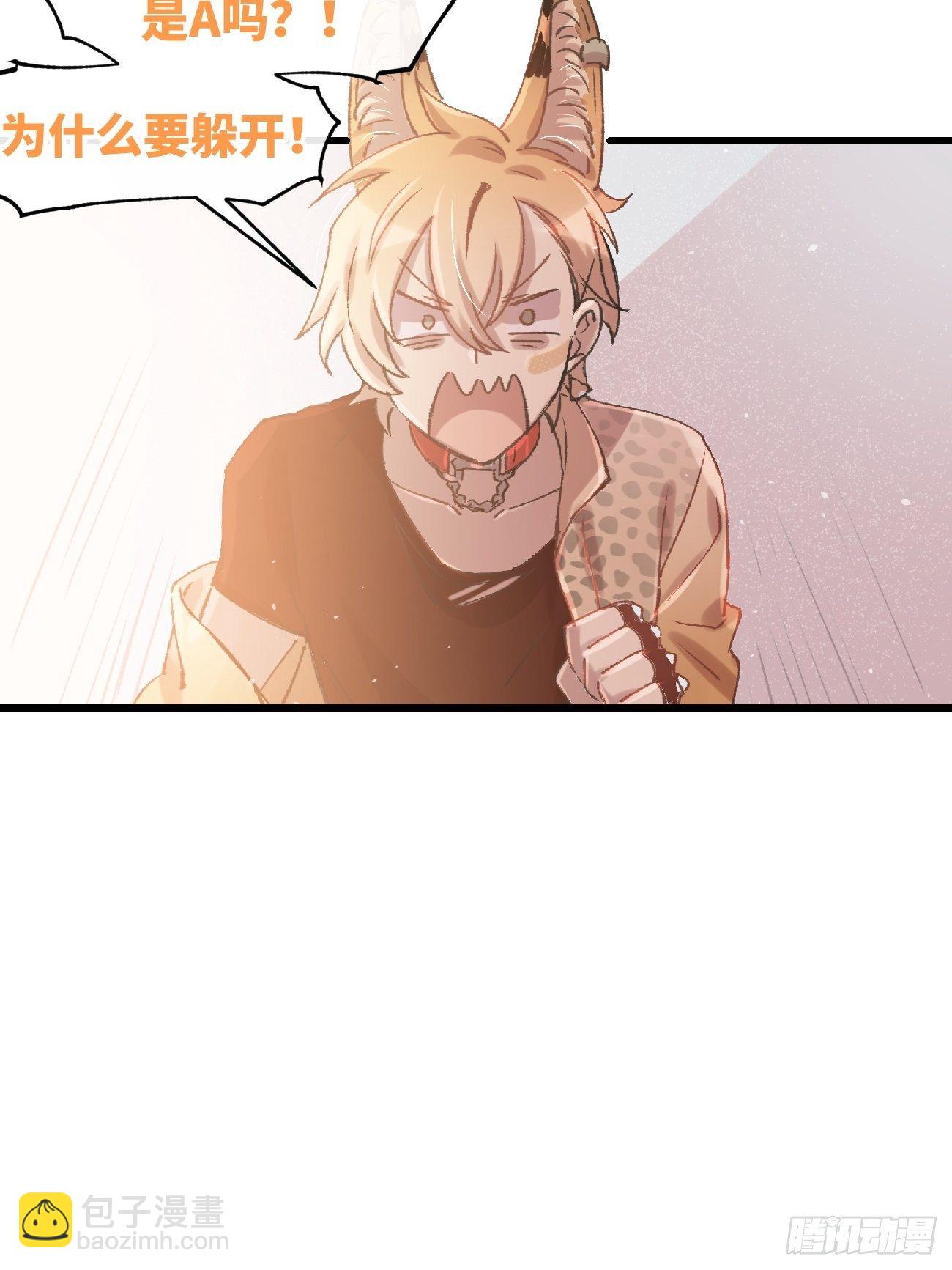 ◆02话◆ 猫薄荷味(1/2)-第3话