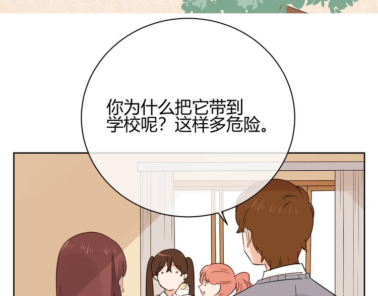 第46话 仓鼠的秘密(1/3)-第129话