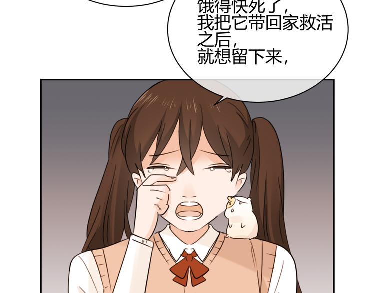 第46话 仓鼠的秘密(1/3)-第129话