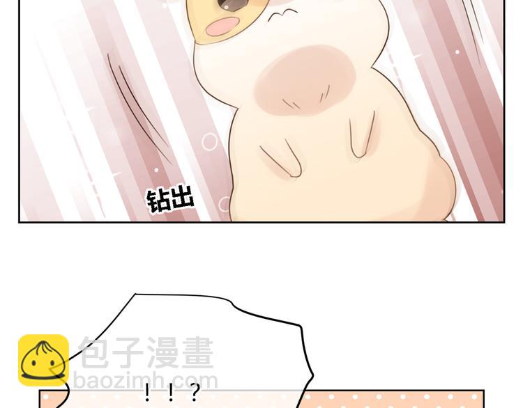 第46话 仓鼠的秘密(1/3)-第129话