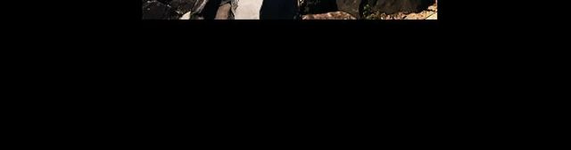 名花無草——《名花有草》續篇 - 第19話 信仰之傷(4/4) - 3