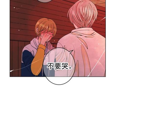 名花無草——《名花有草》續篇 - 第19話 信仰之傷(2/4) - 8