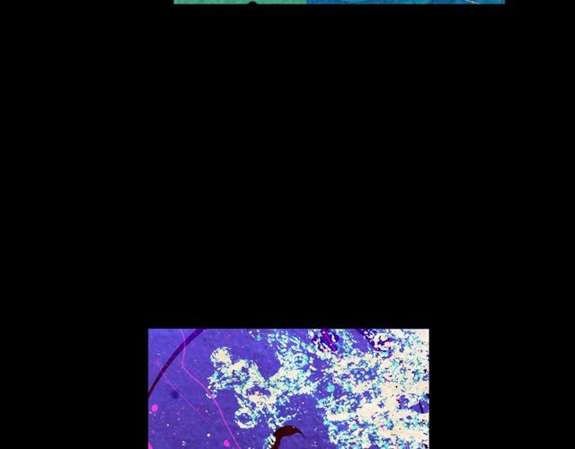 名花無草——《名花有草》續篇 - 第25話 像以前一樣(1/3) - 5