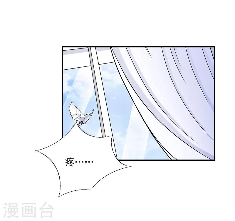 第29话 文家有后了-第29话