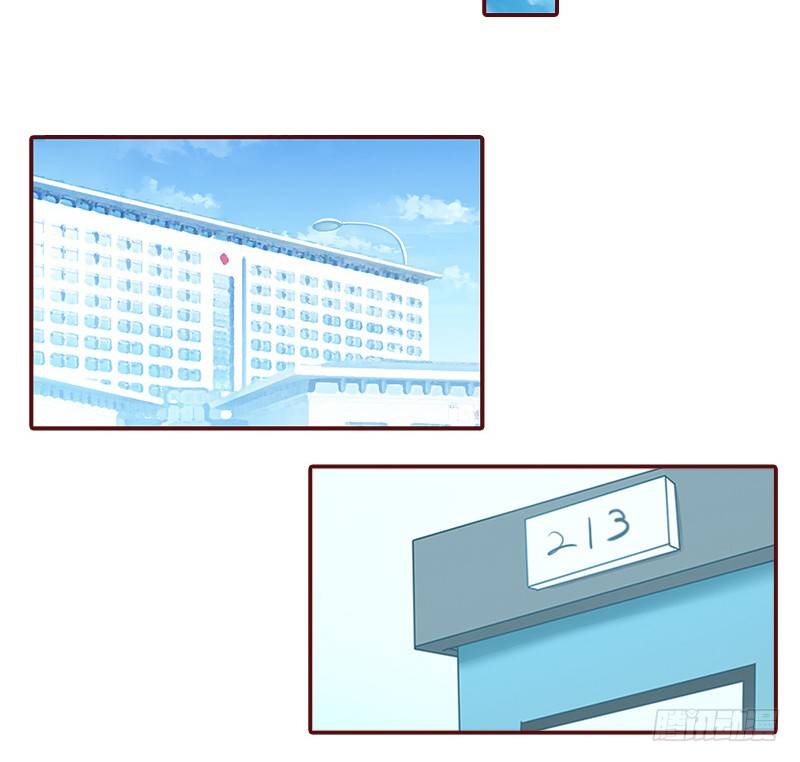 名门天价前妻 - 第5话 大闹病院 - 6