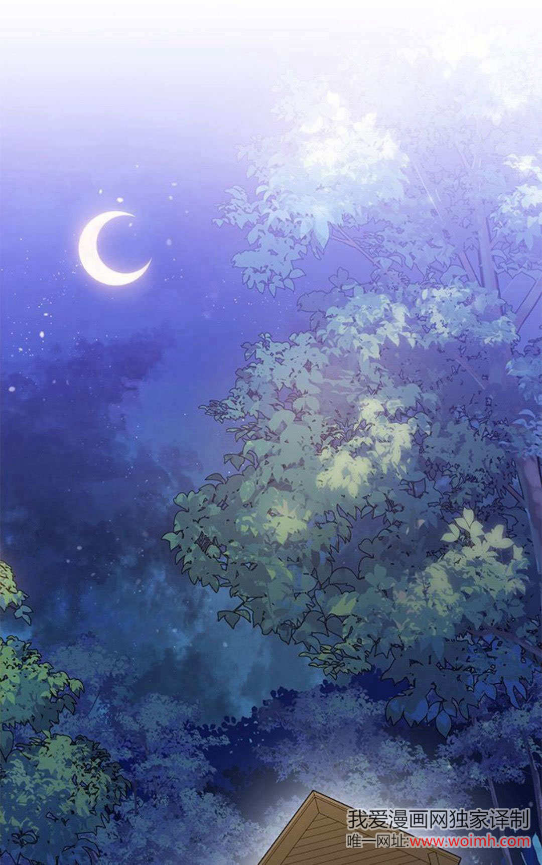 明明是貓，卻被狼族收養了？ - 第01話(1/2) - 1