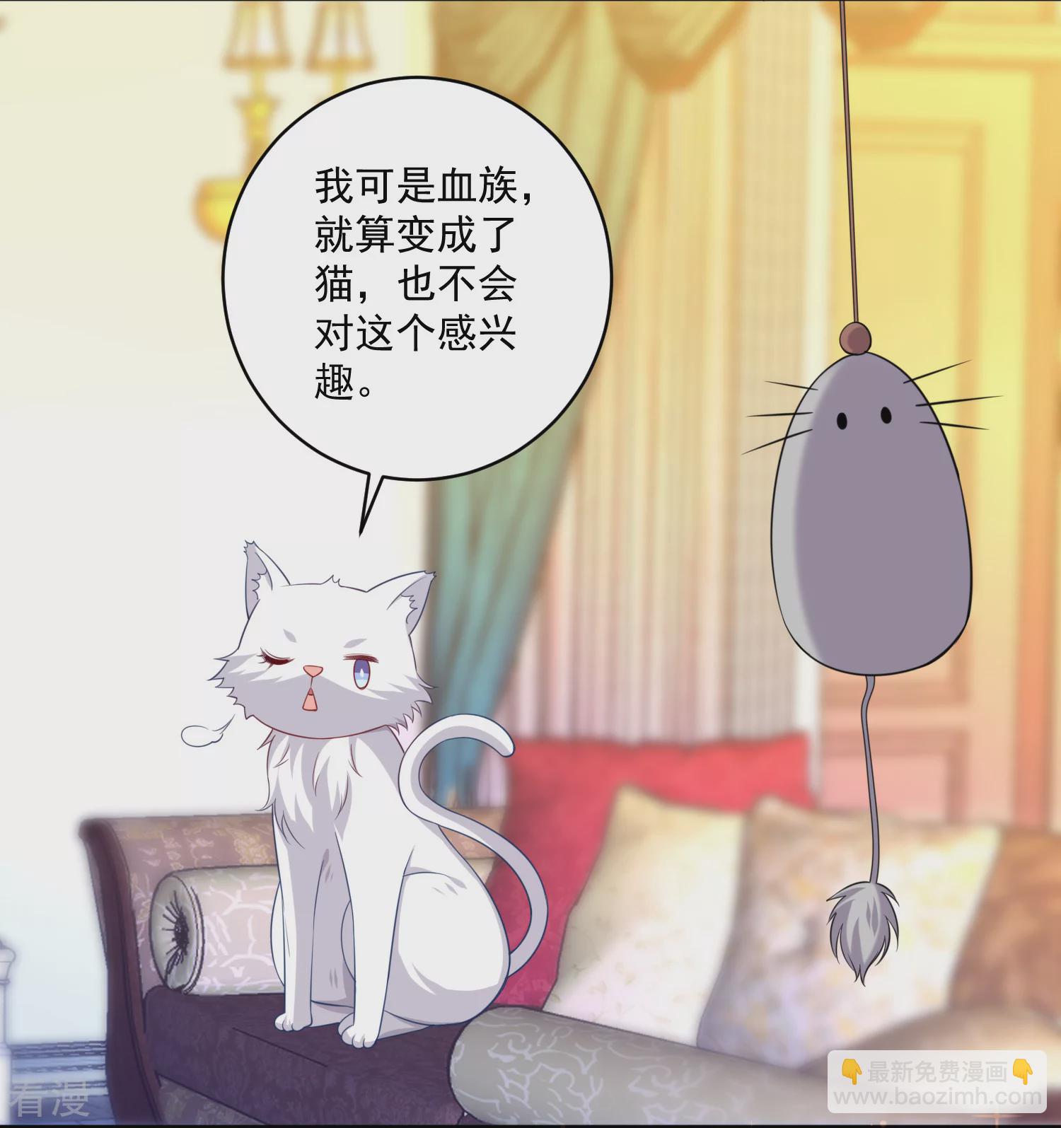 明星是血族 - 第240话 给猫白夜洗澡~ - 3