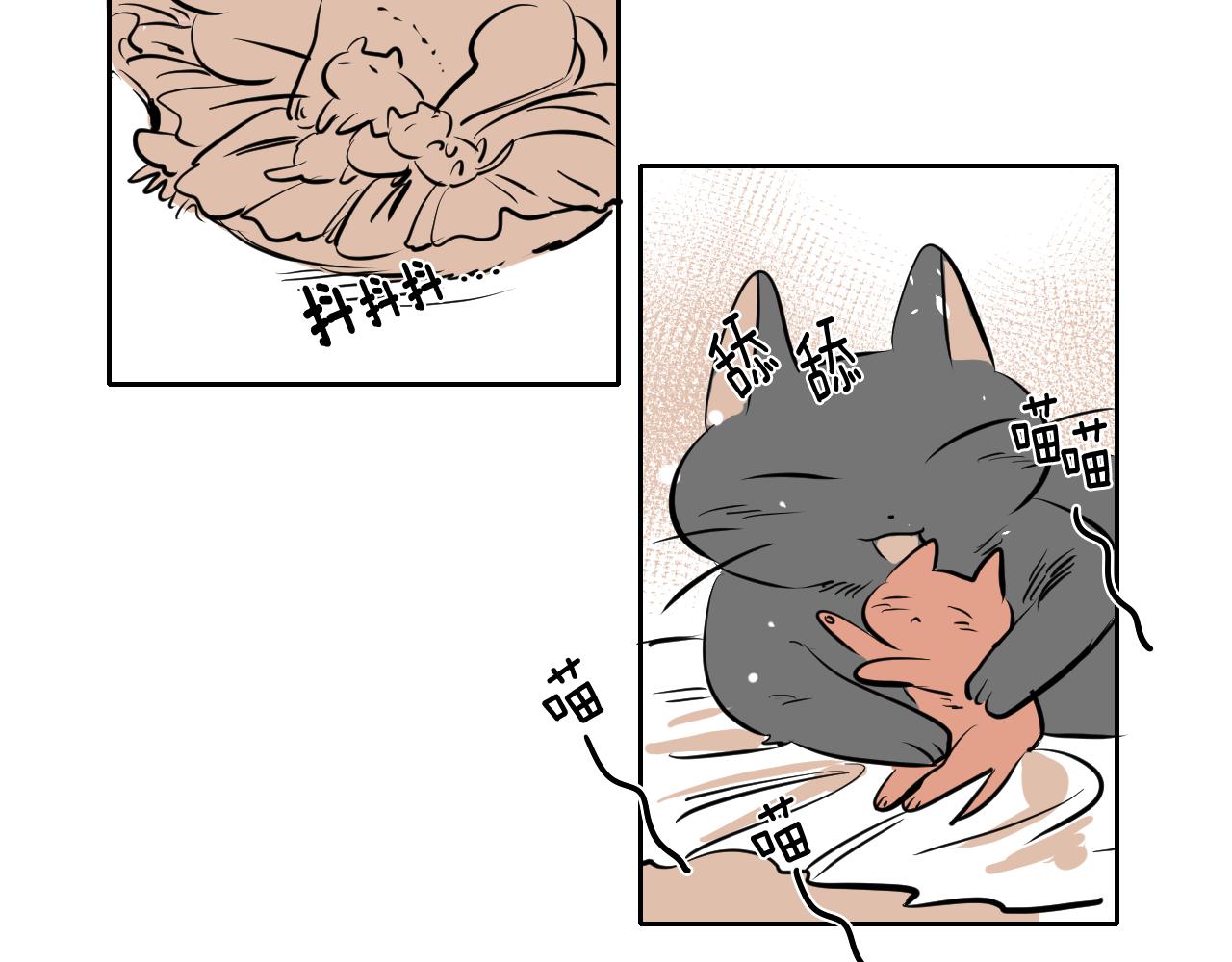 第28话 找到工作(1/2)-第29话