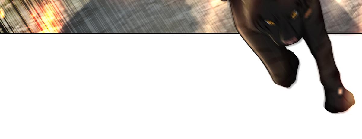 第三百零八话(1/2)-第311话