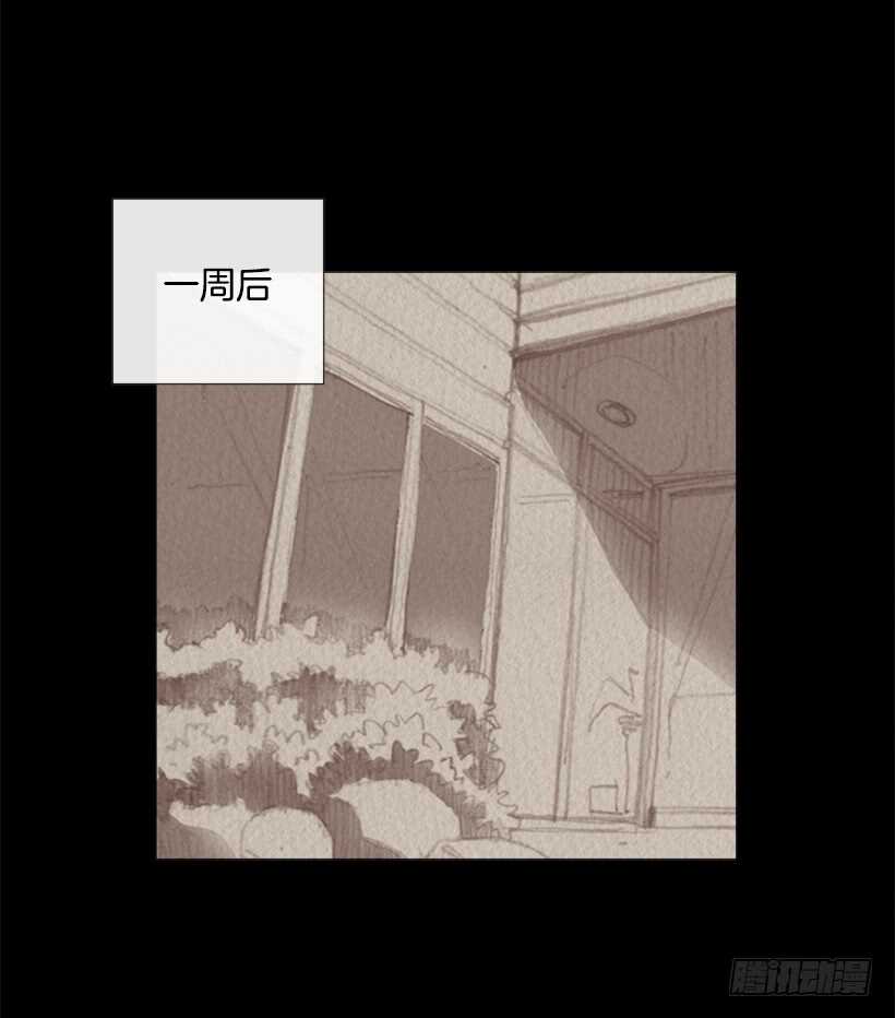 88.他做的菜到底有多好吃(1/2)-第87话