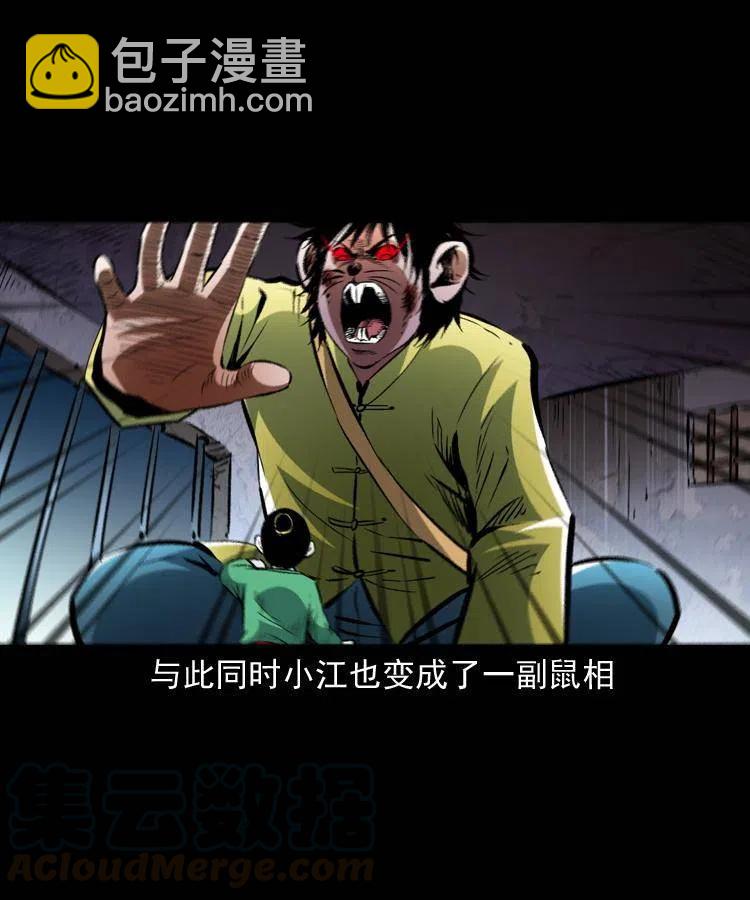 一百三十三话 鼠化的小江(1/2)-第135话