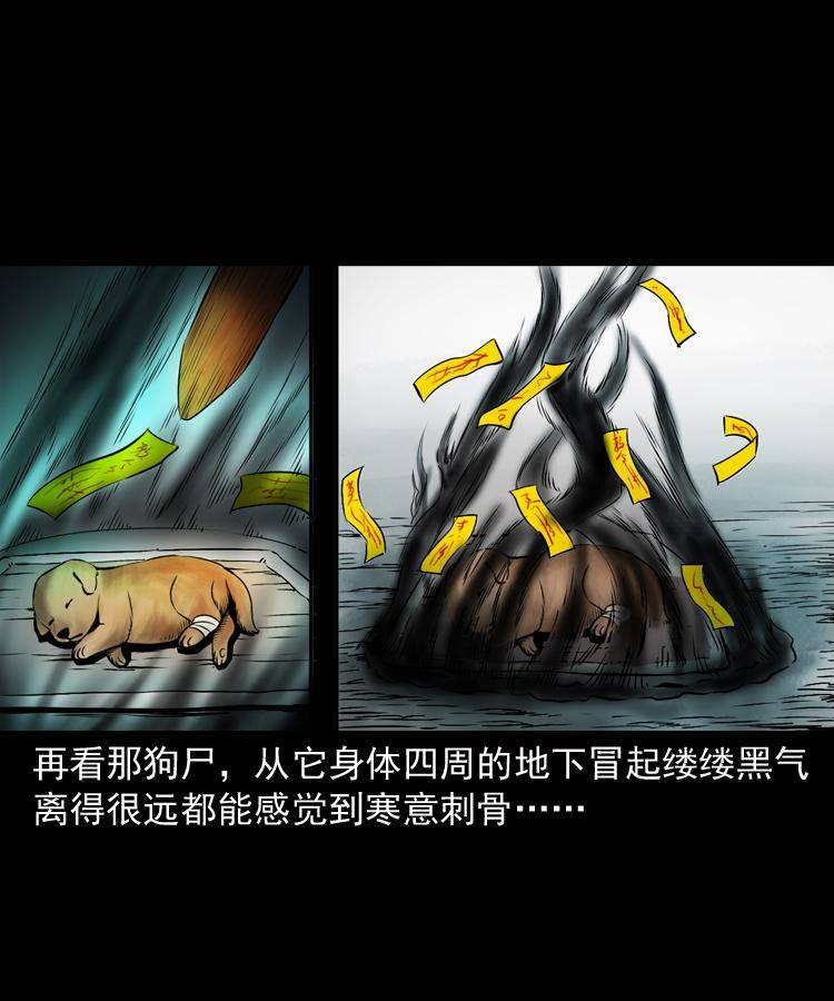 第十七话 青囊尸典(1/2)-第17话