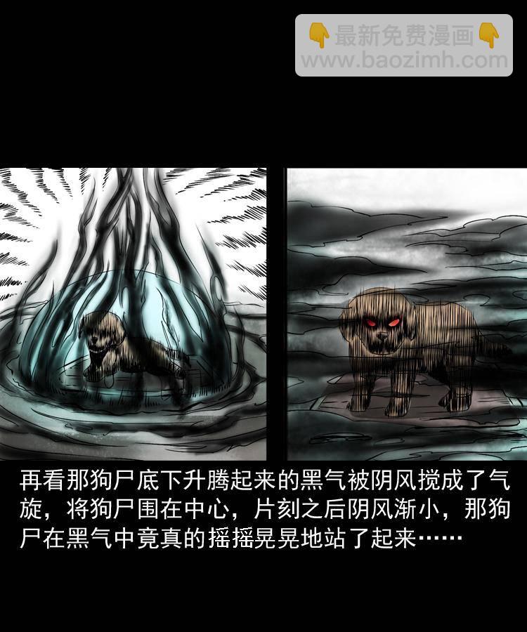 第十七话 青囊尸典(1/2)-第17话