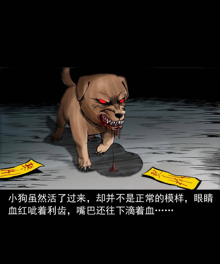 第十七话 青囊尸典(1/2)-第17话