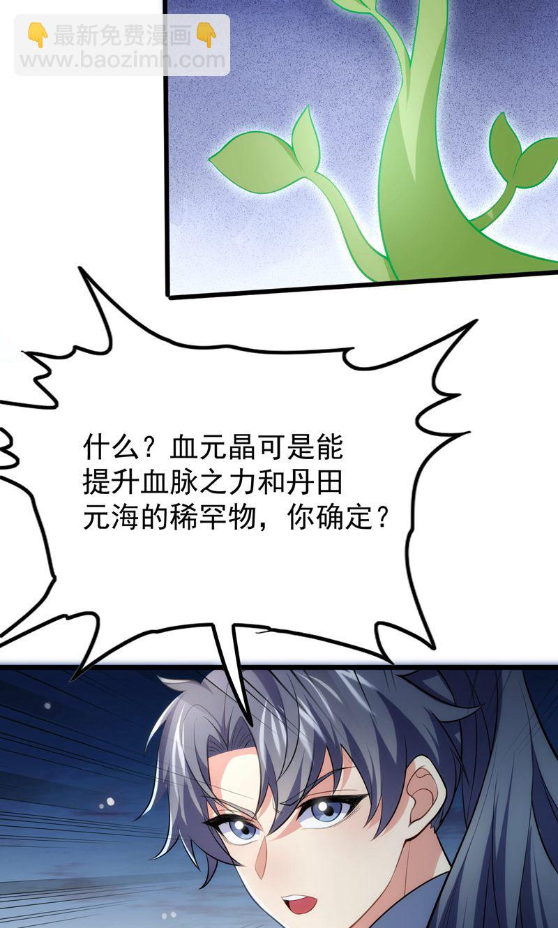 第48话 掌心岛，血元晶(1/2)-第49话