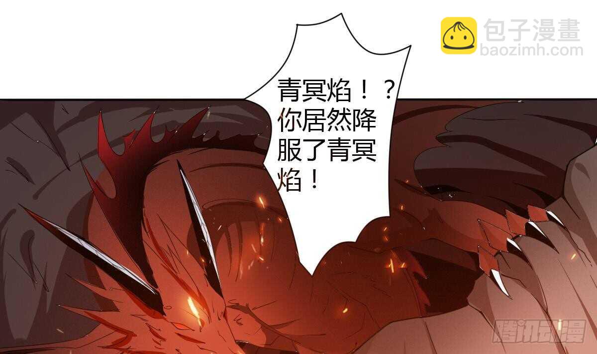 魔法仙氣一乾坤 - 第240話 九天雷火 - 6