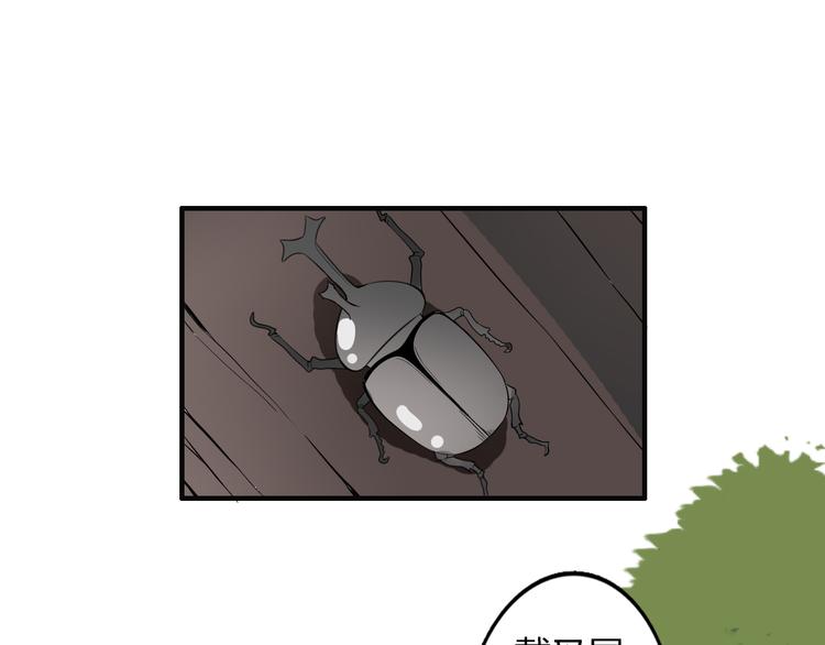 第1话 魔术师？(1/3)-第1话