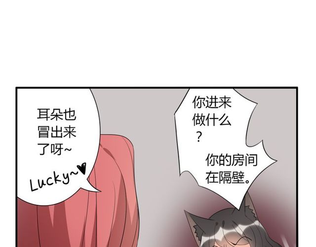 第14话 意外收获(1/2)-第15话