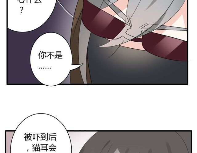 第16话 惊魂夜(1/2)-第17话