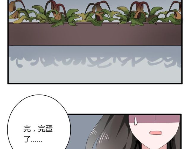 第42话 被leo先生认可了！(1/2)-第43话