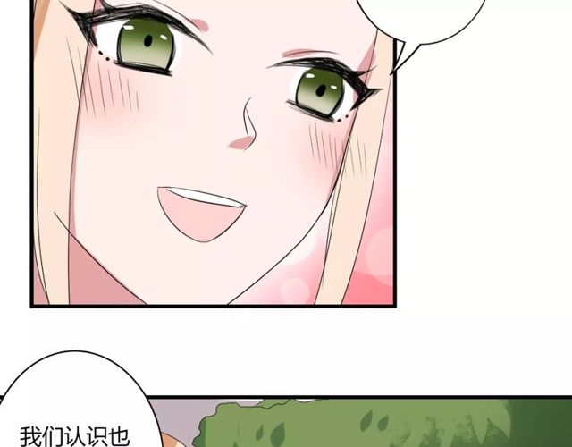 第44话 小可爱失踪了(1/2)-第45话