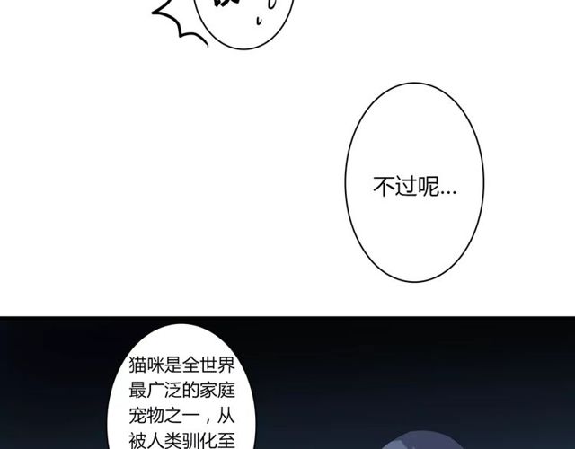 第65话 约会吧～(1/2)-第67话