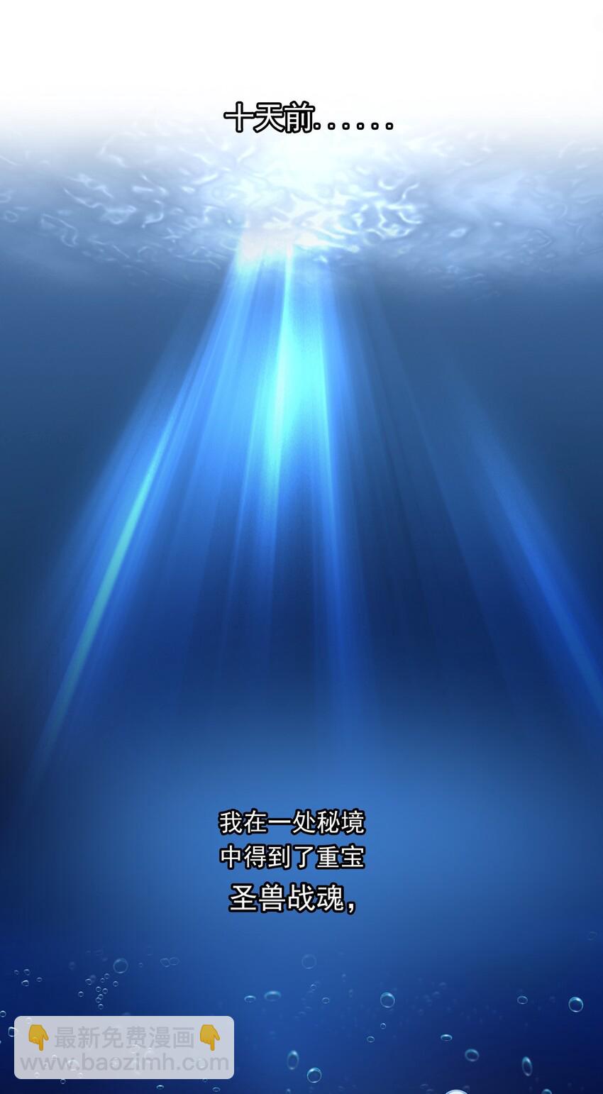 001 圣兽战魂(1/2)-第1话