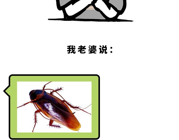 南方人的回礼-第39话