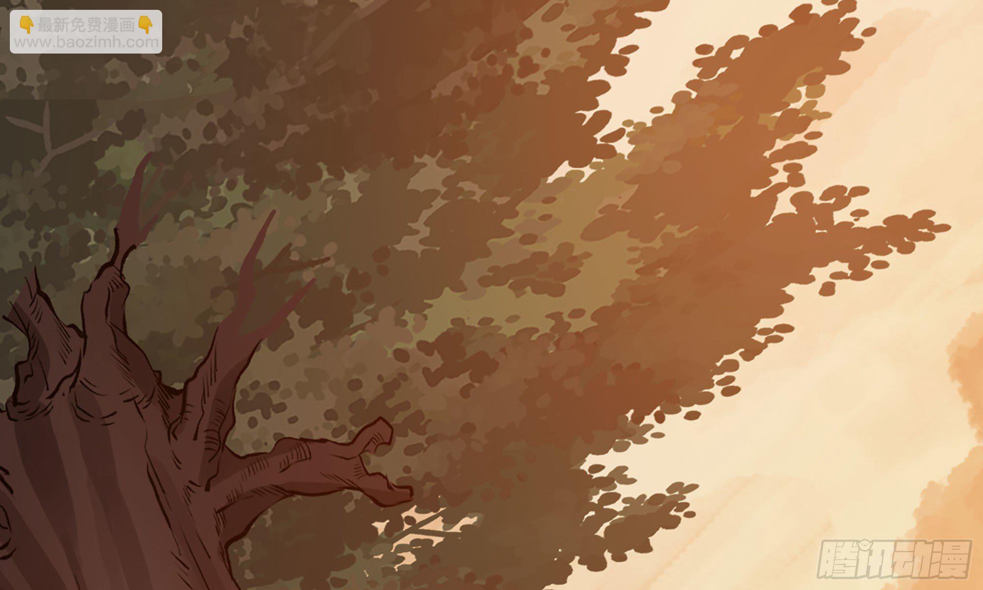 蘑菇勇者 - 14- 分解吸收(2/3) - 5