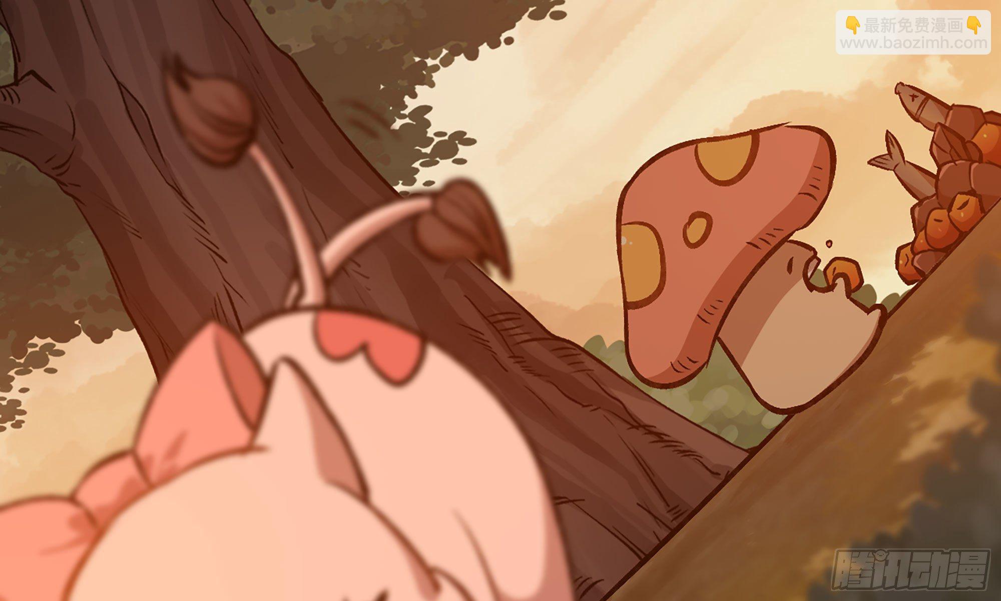 蘑菇勇者 - 14- 分解吸收(2/3) - 6