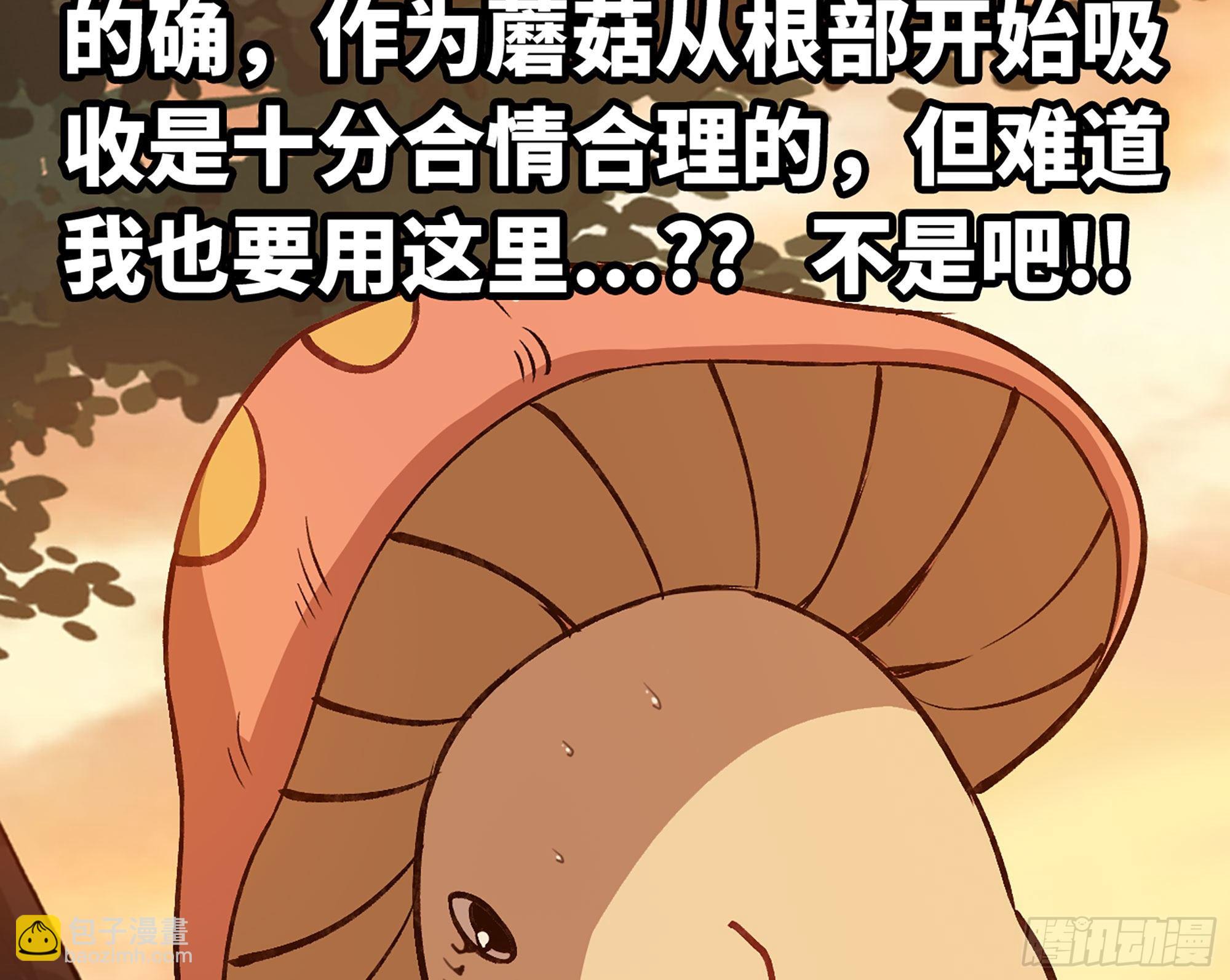 蘑菇勇者 - 14- 分解吸收(2/3) - 2