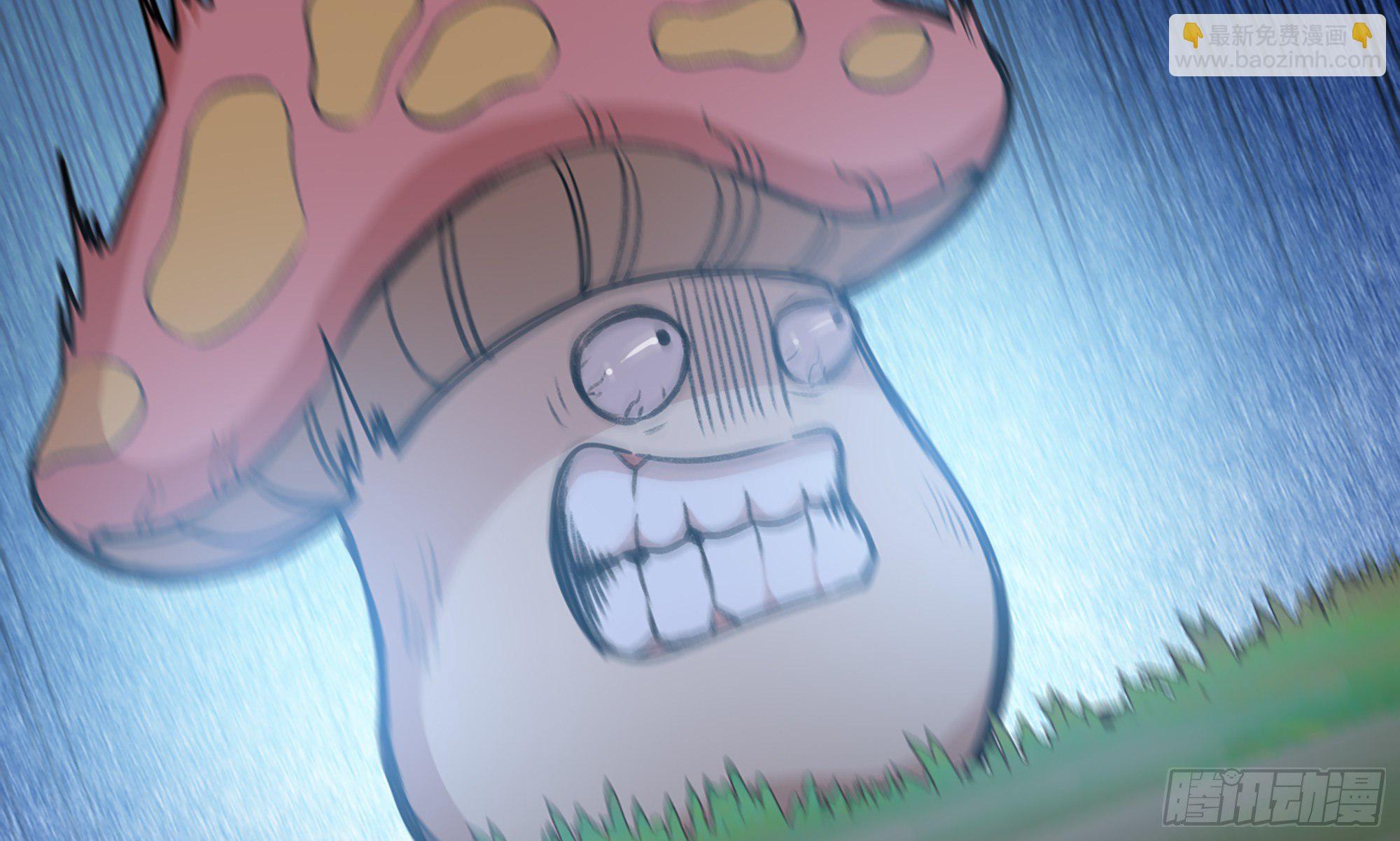 蘑菇勇者 - 4-稱霸新手村(1/4) - 4