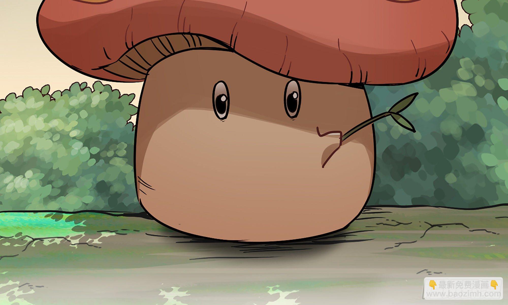 蘑菇勇者 - 4-稱霸新手村(1/4) - 3