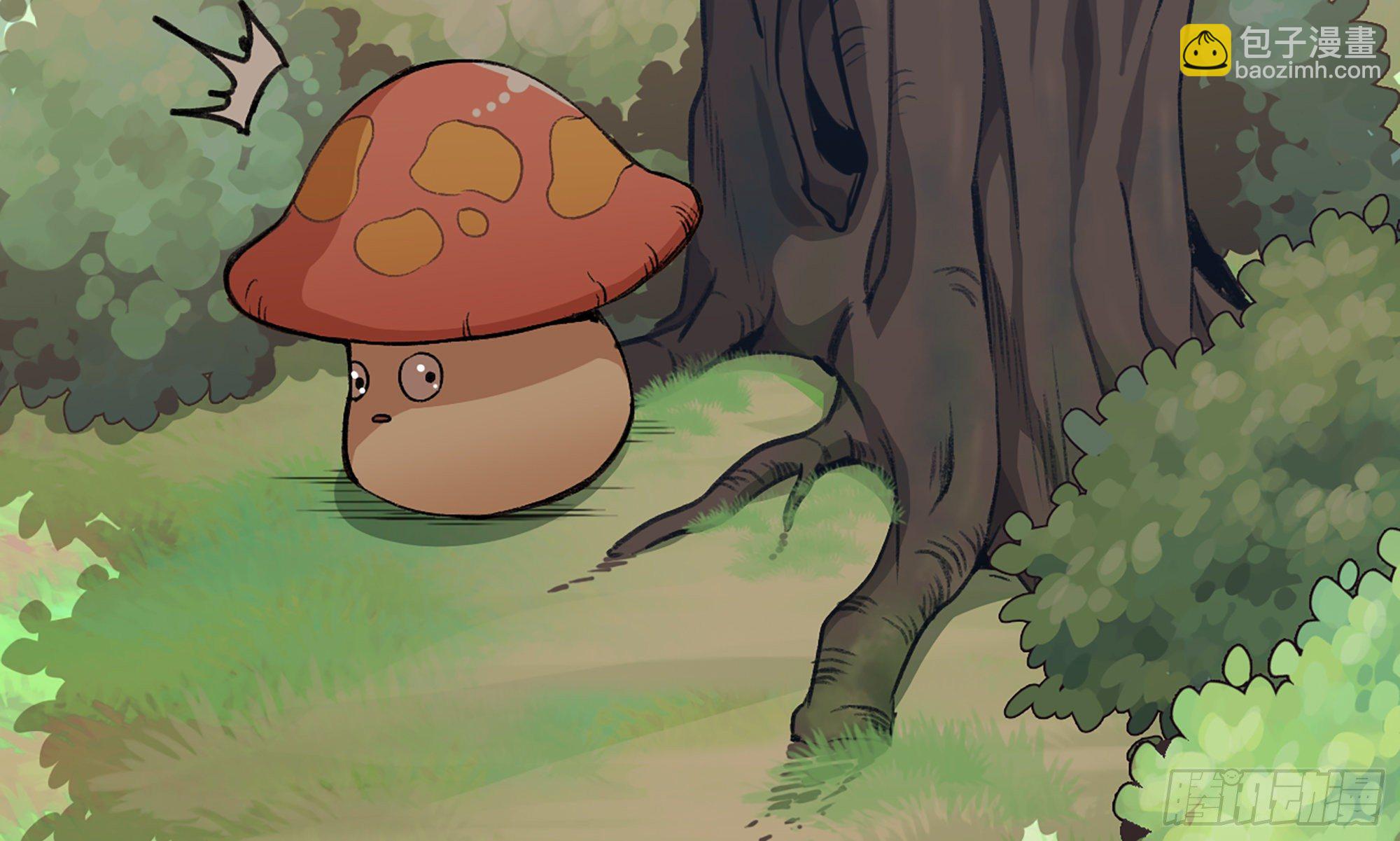 蘑菇勇者 - 4-稱霸新手村(1/4) - 6