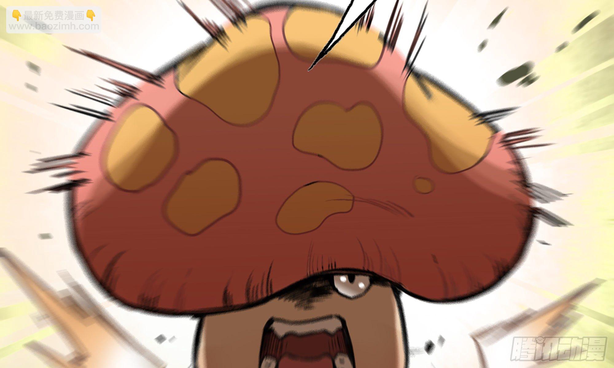 蘑菇勇者 - 4-稱霸新手村(2/4) - 4