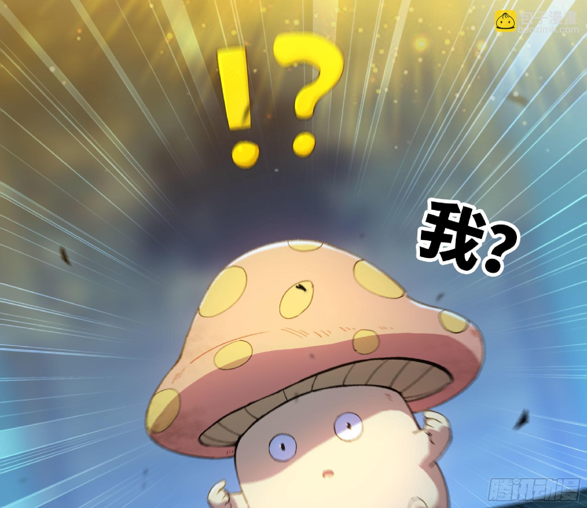 蘑菇勇者 - 71 新的蘑菇王(3/4) - 4