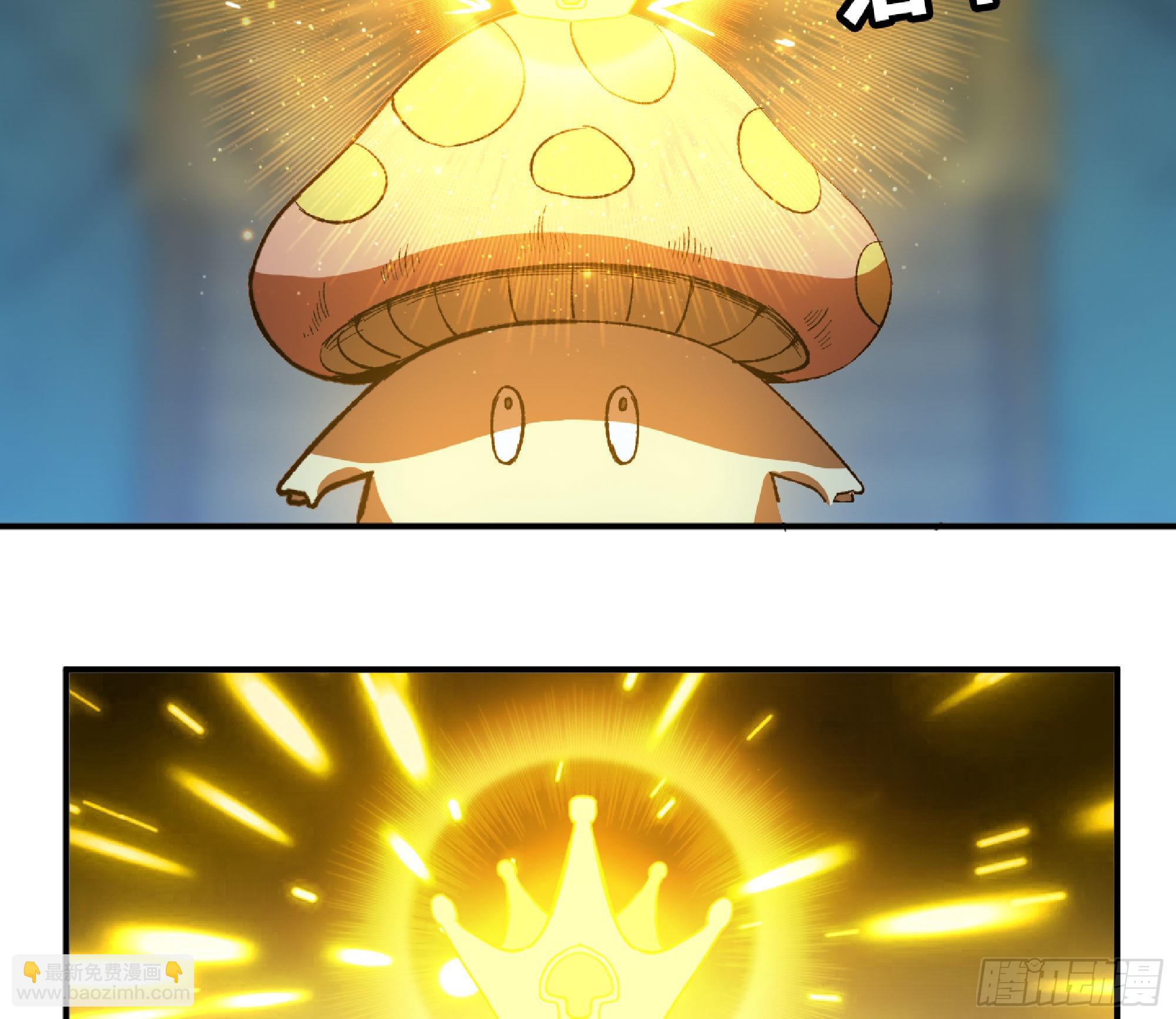 蘑菇勇者 - 71 新的蘑菇王(3/4) - 4