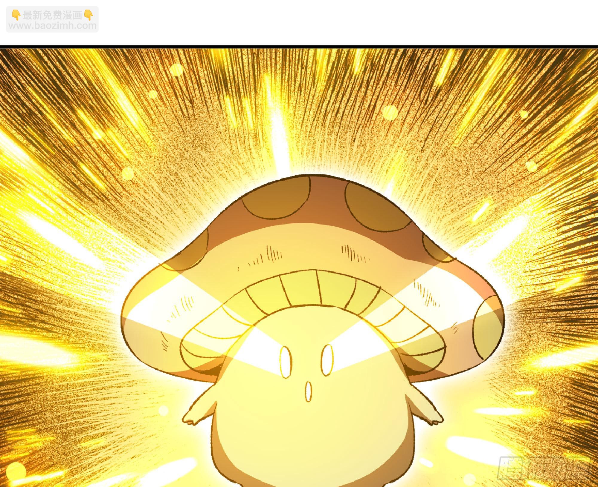 蘑菇勇者 - 71 新的蘑菇王(3/4) - 2