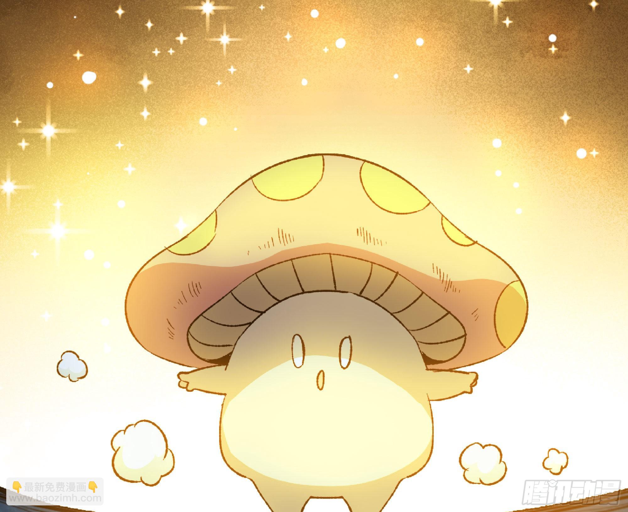 蘑菇勇者 - 71 新的蘑菇王(3/4) - 2