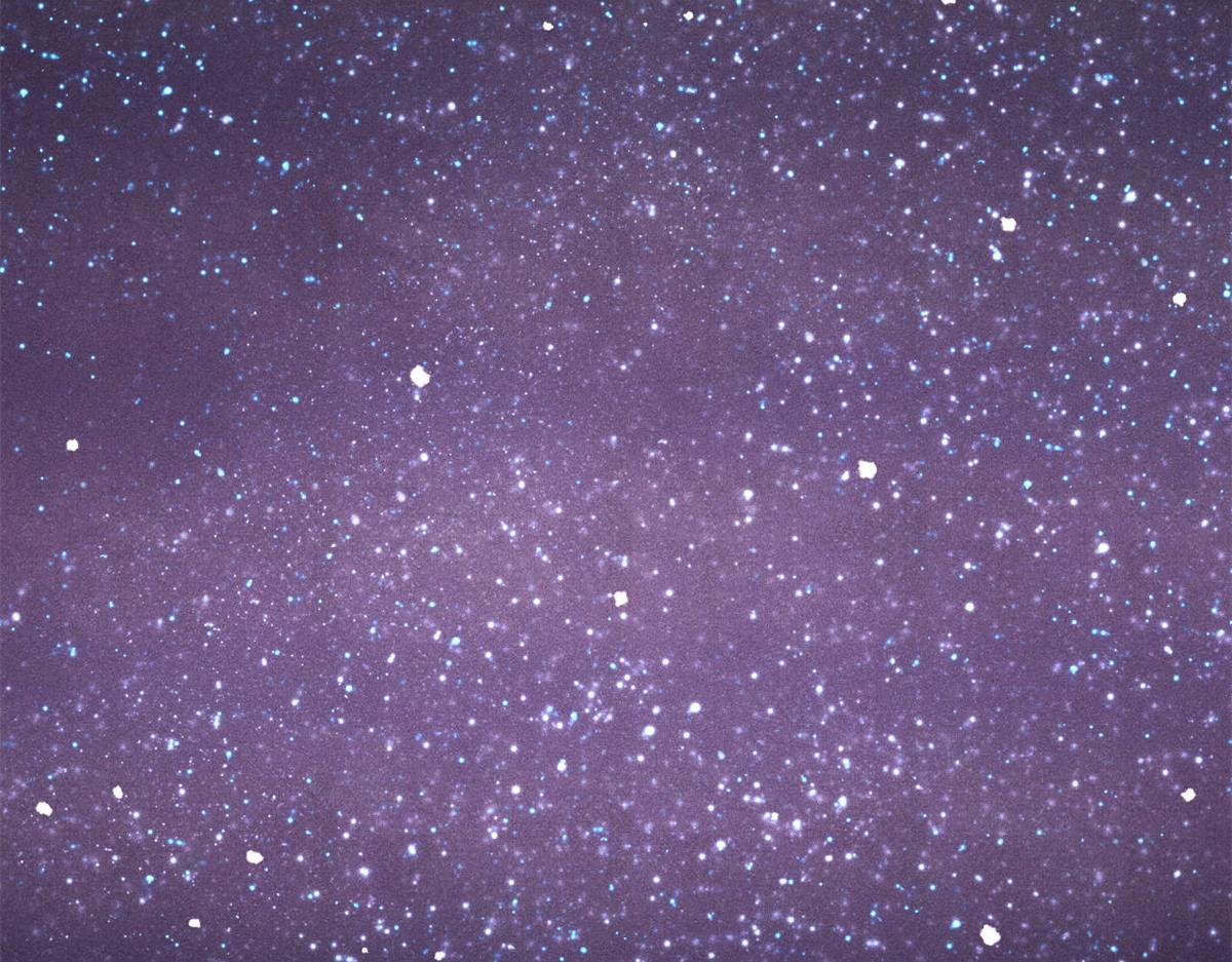 萬古最強宗 - 467 概念神的餘溫(1/3) - 1