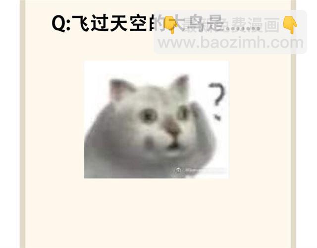 80.jpg