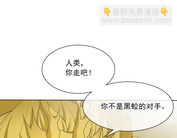 第36话 夫人陪我探寻(1/3)-第37话