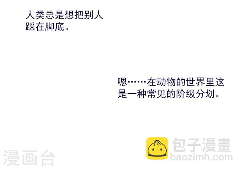 第23话 对魔女的质问(1/2)-第23话