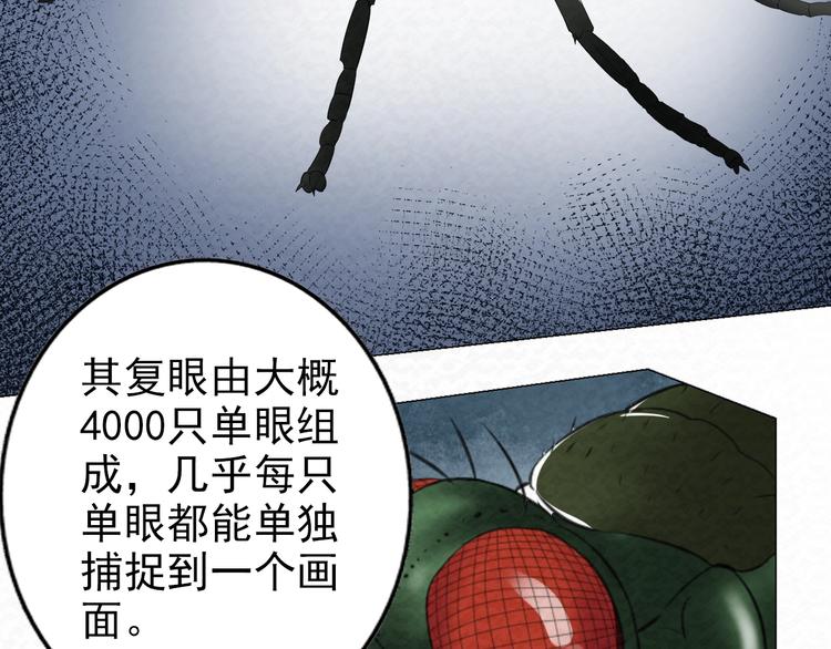 第73话  实力差距(1/2)-第73话