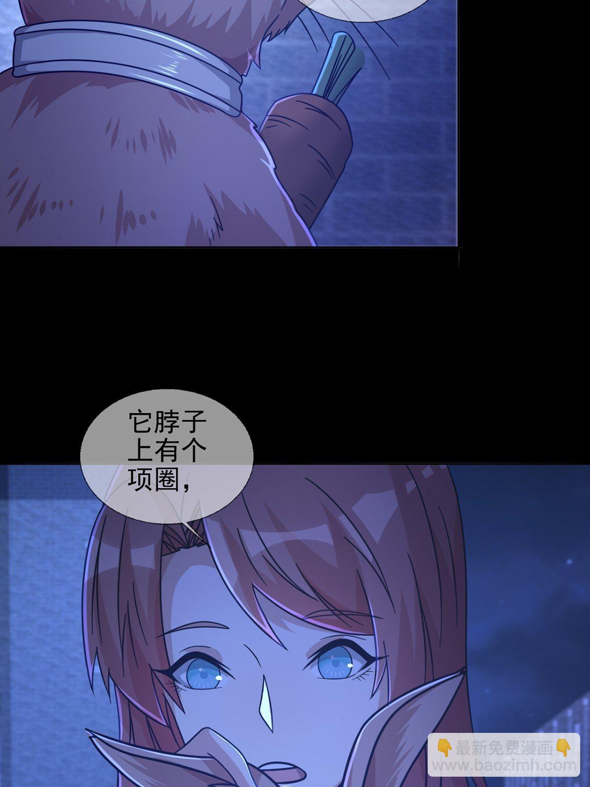 068 哪里来的兔子(1/2)-第69话