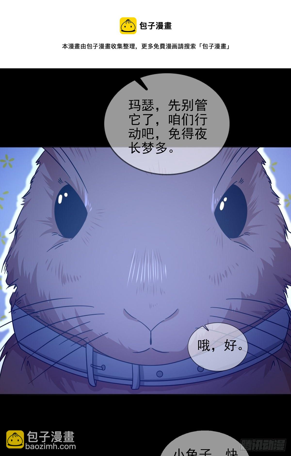 068 哪里来的兔子(1/2)-第69话