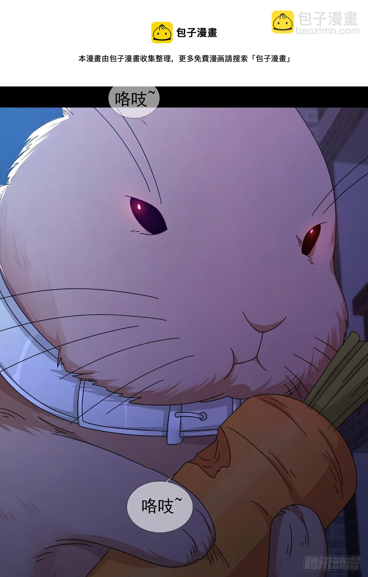 068 哪里来的兔子(1/2)-第69话