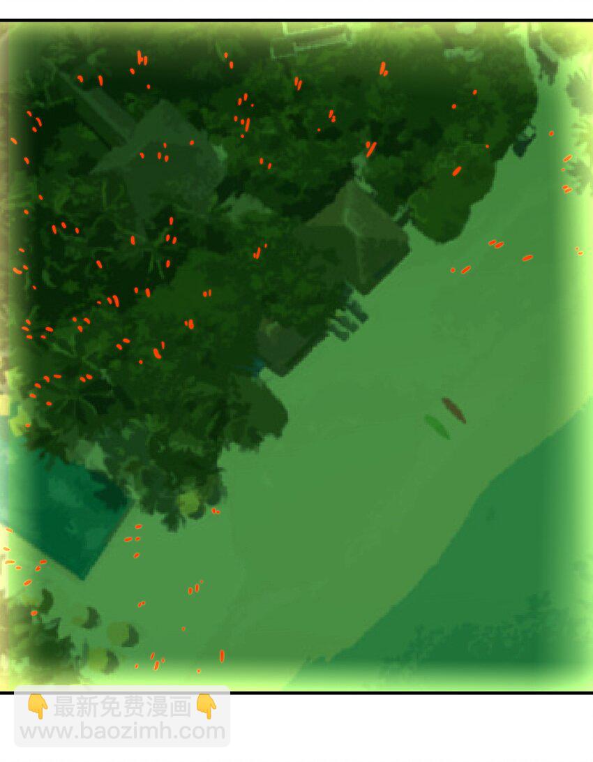 029 袭击(1/2)-第29话