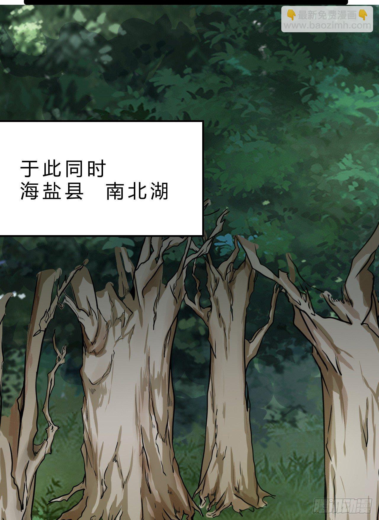 世界政府的战力-第15话